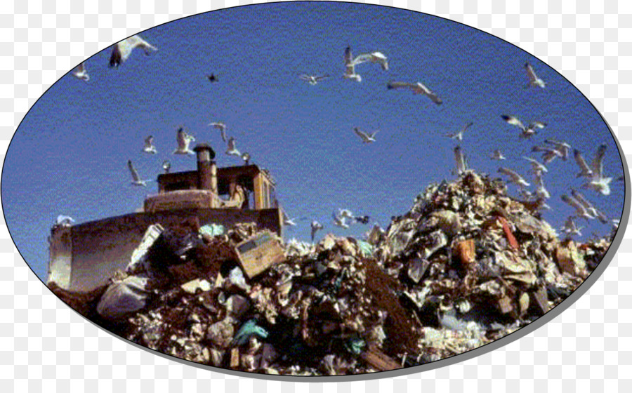 Waste，Meio Ambiente Natural PNG