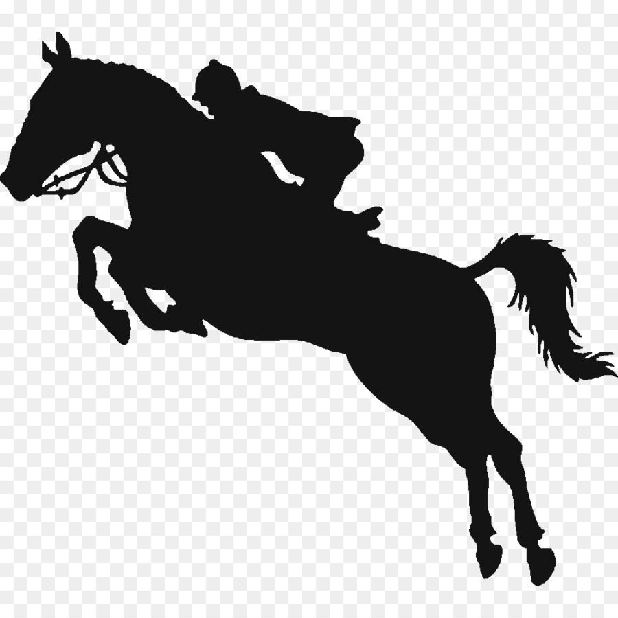 Cavalo, Saltar, Equestre png transparente grátis