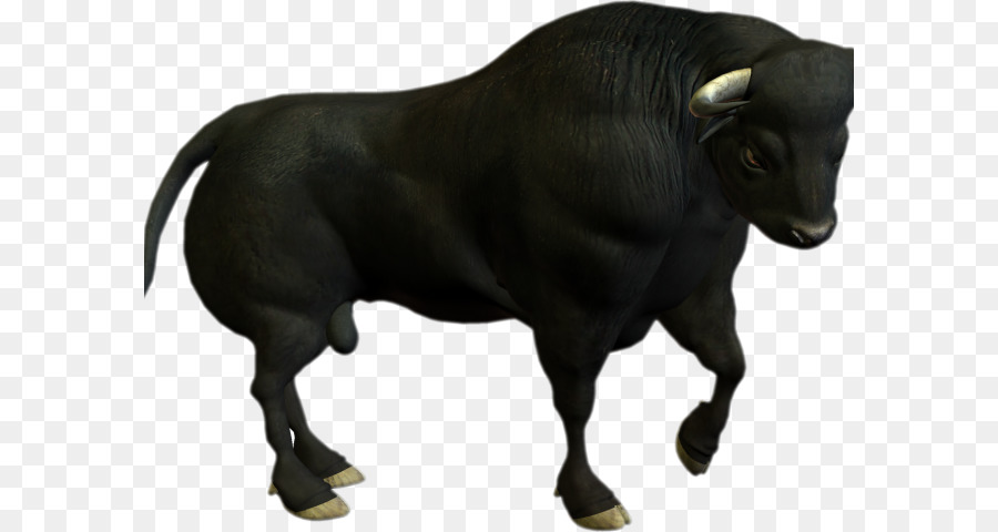 Vaca，Pecuária PNG