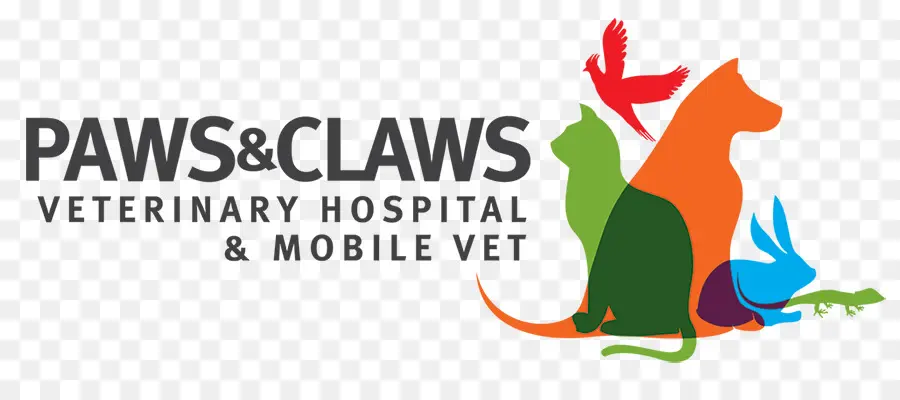 Hospital Veterinário，Animais De Estimação PNG