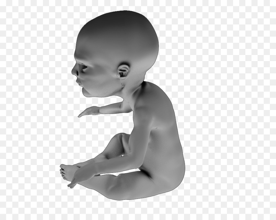 Modelo De Bebê 3d，Bebê PNG