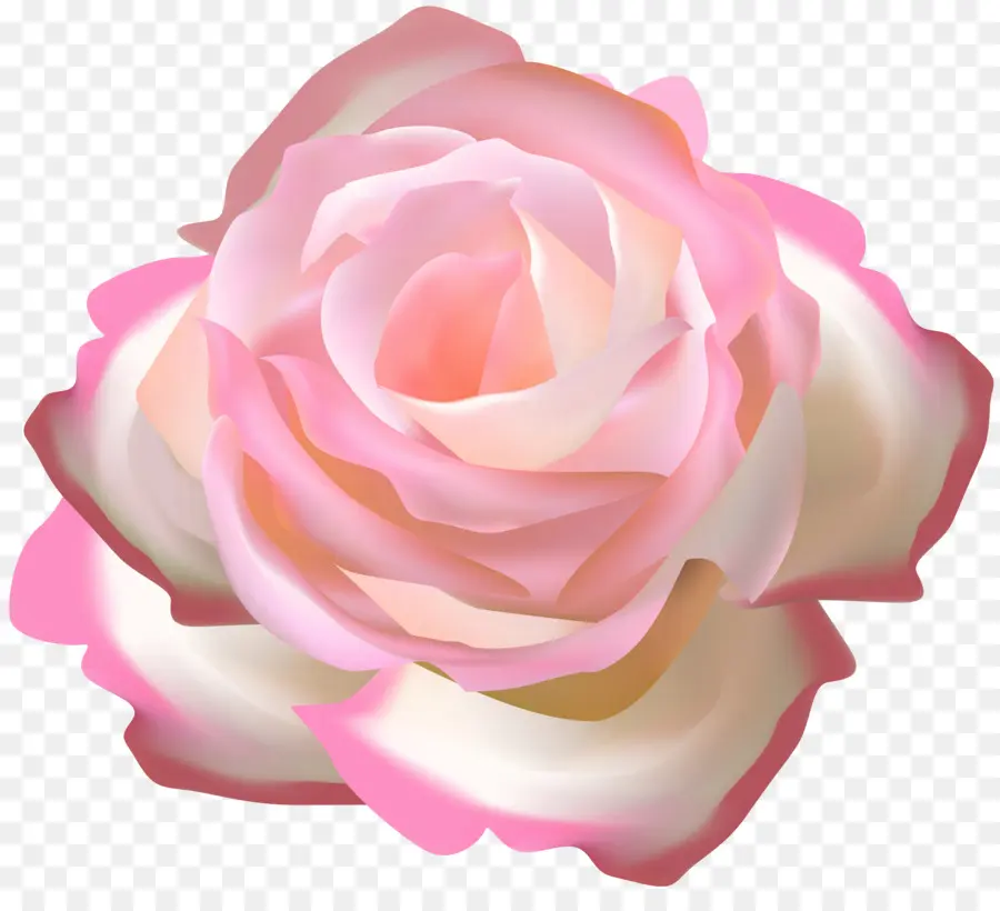 As Rosas Do Jardim，Enfeite Floral PNG