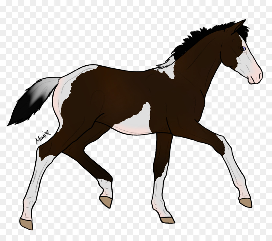 Cavalo，Equino PNG