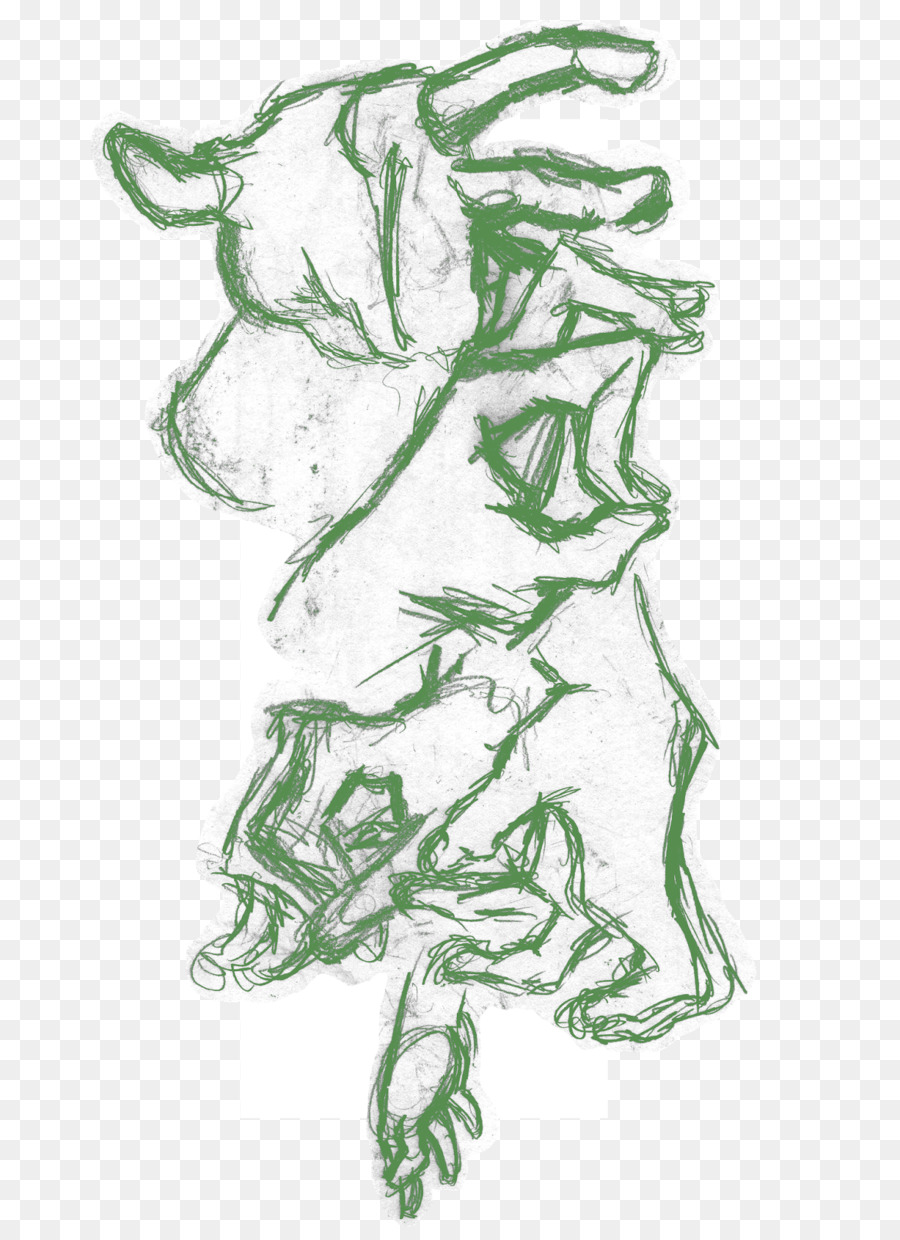 Vertebrados，A Figura De Desenho PNG