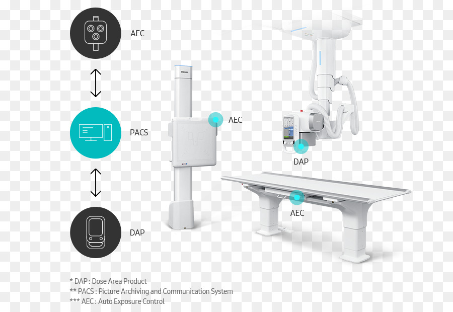 A Radiografia De，Xray PNG