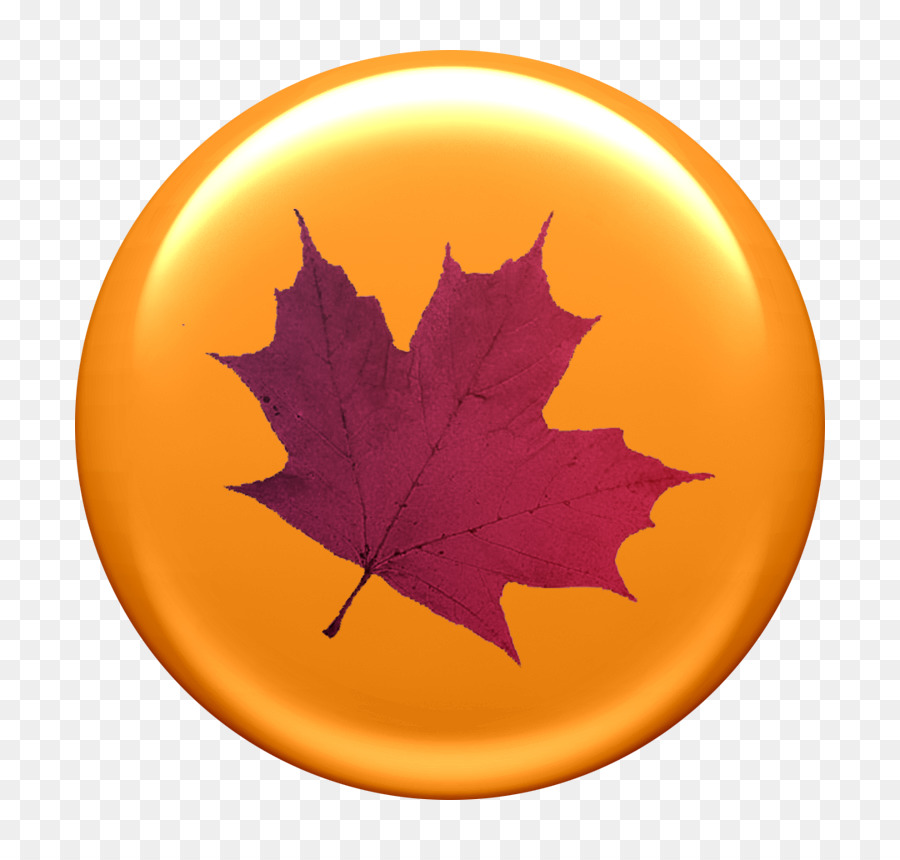 Papel，Maple Leaf PNG