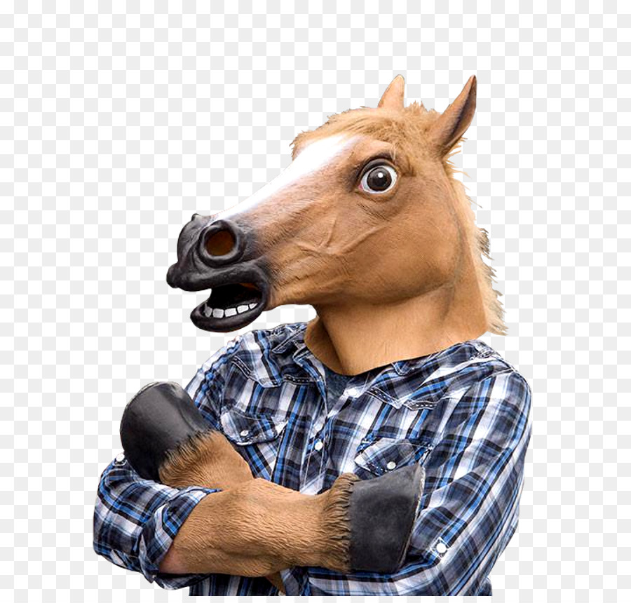 Máscara De Cavalo，Cavalo PNG