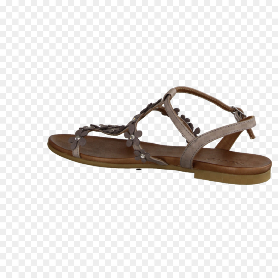 Slide，Sapato PNG