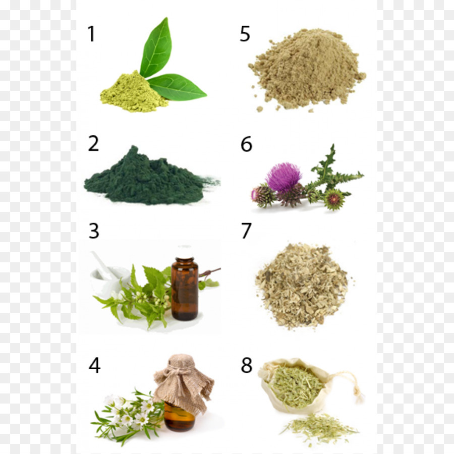 Erva，Herbalism PNG