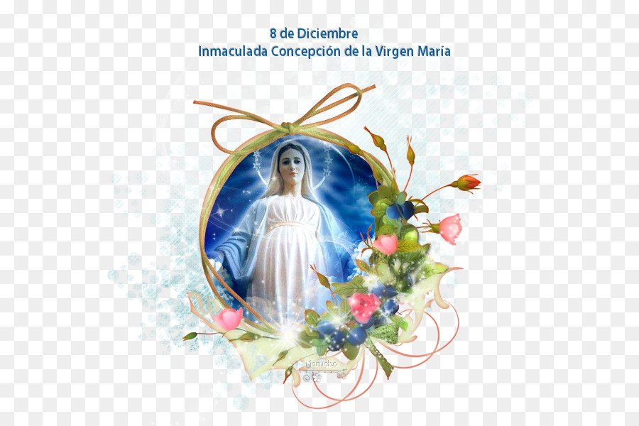 Virgem Maria，Imaculada Conceição PNG