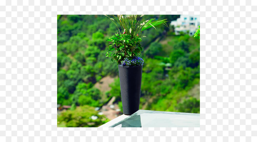 Flowerpot，Jardim PNG