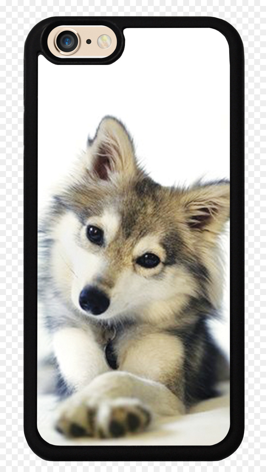 Husky Siberiano，Filhote De Cachorro PNG