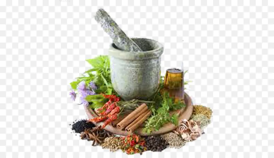 Herbalism，Suplemento Alimentar PNG