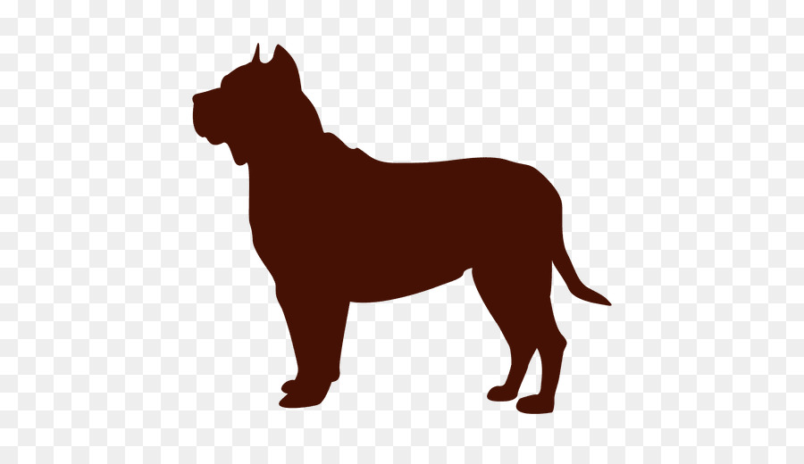 Raça Do Cão，Filhote De Cachorro PNG