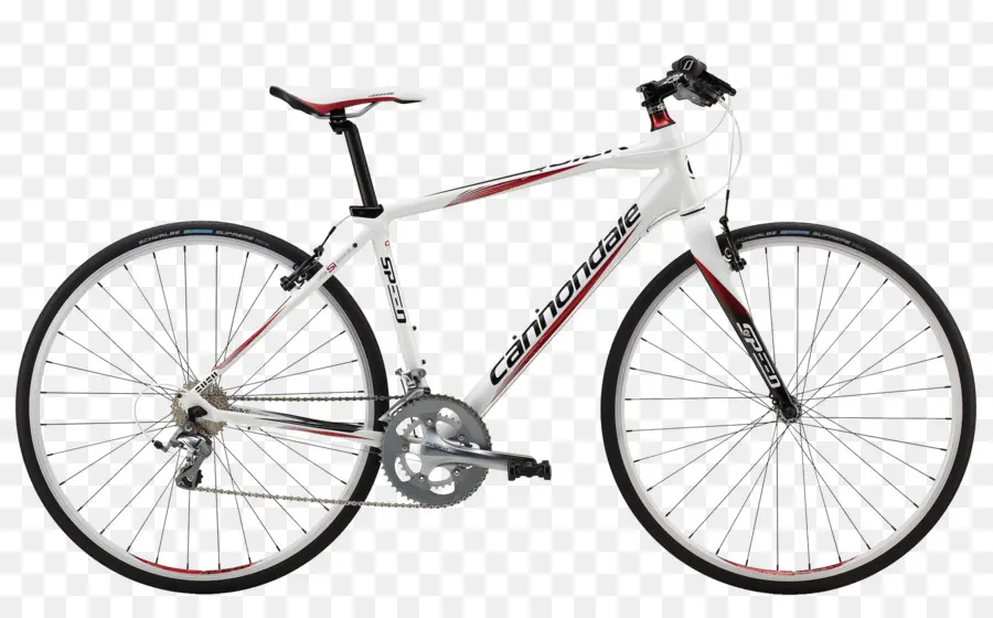 Singlespeed De Bicicleta，Bicicleta PNG