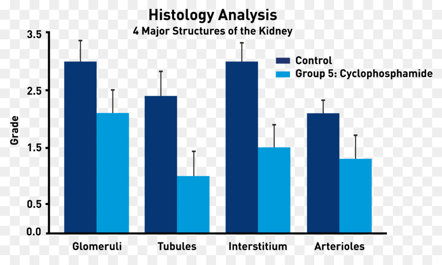 Design Gráfico，Lúpus Eritematoso Sistêmico PNG