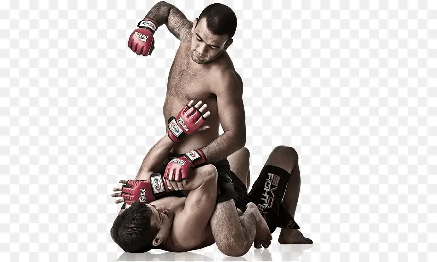 Ultimate Fighting Championship，Artes Marciais Mistas PNG