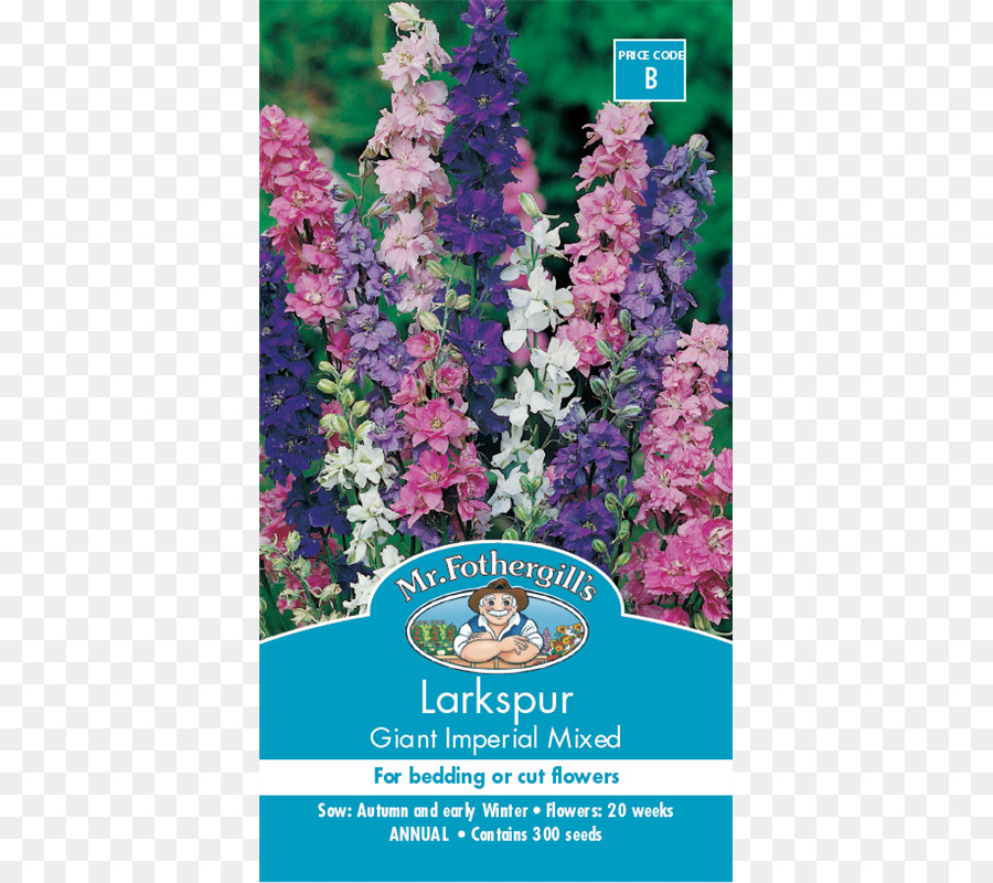 Flores De Larkspur，Sementes PNG