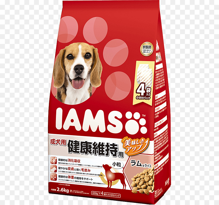 Cachorro，Iams PNG