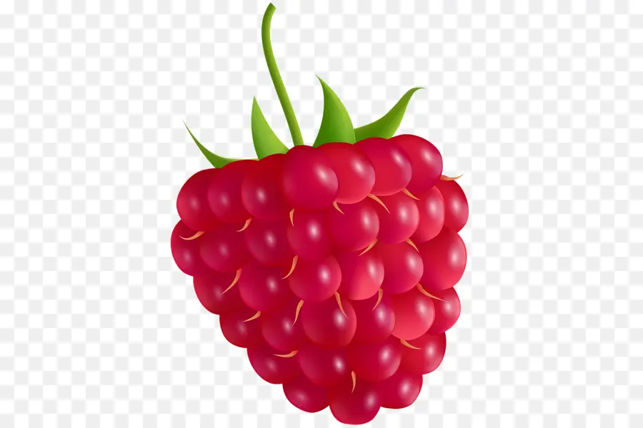 Framboesa，Vermelho PNG