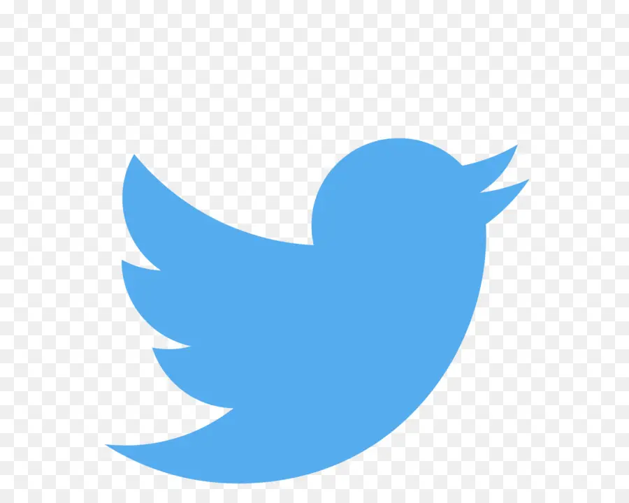 Logotipo Do Twitter，Mídia Social PNG