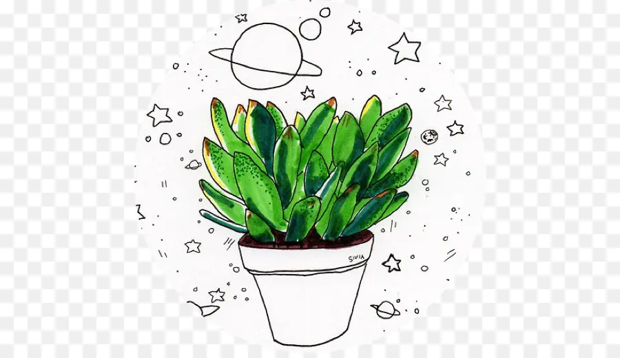 Desenho，Plantas PNG