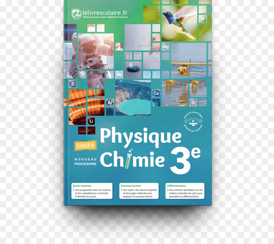Physiquechimie Ciclo De 4，Physiquechimie PNG