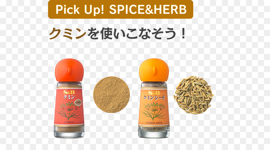 Condimento，Spice PNG