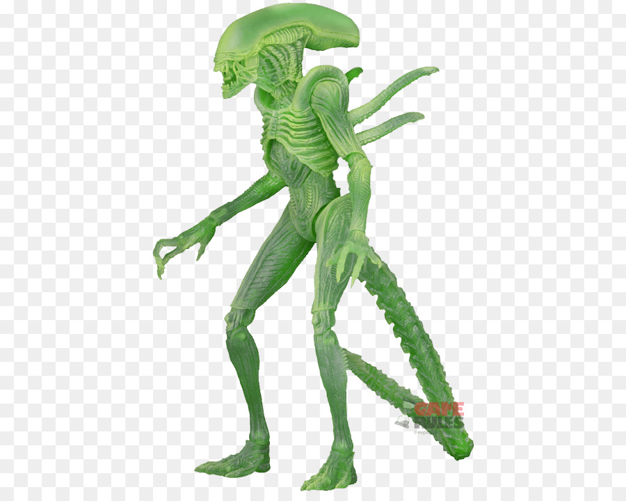 Predador，Alien PNG