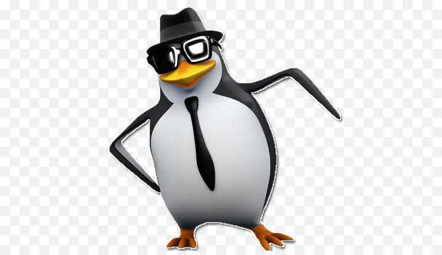 Penguin，Fotografia De Stock PNG