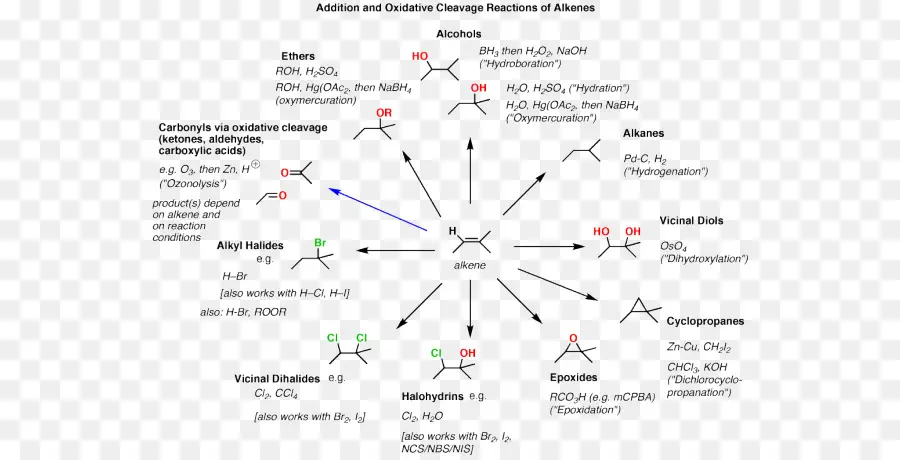 Reação Química，Química Orgânica PNG