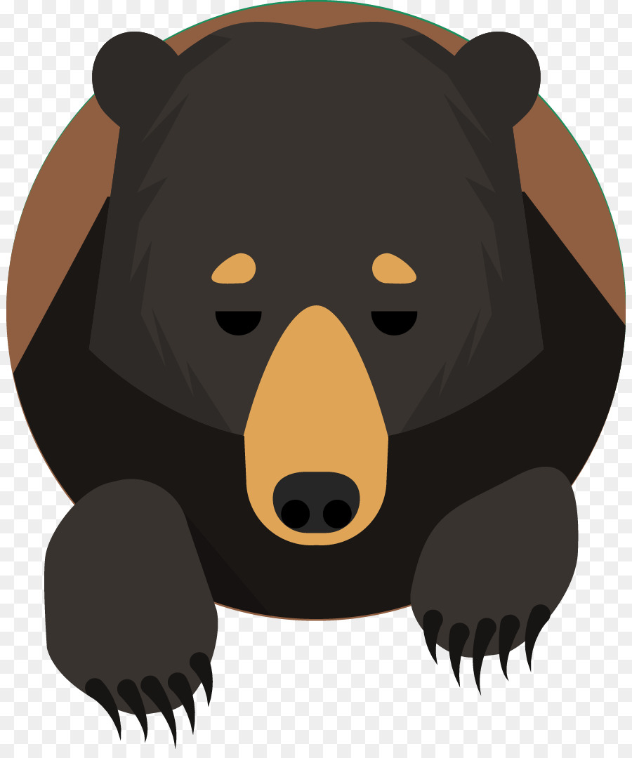 Cabeça De Urso，Urso PNG