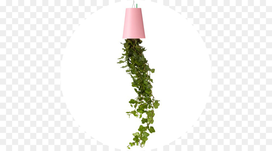 Plantas，Flowerpot PNG