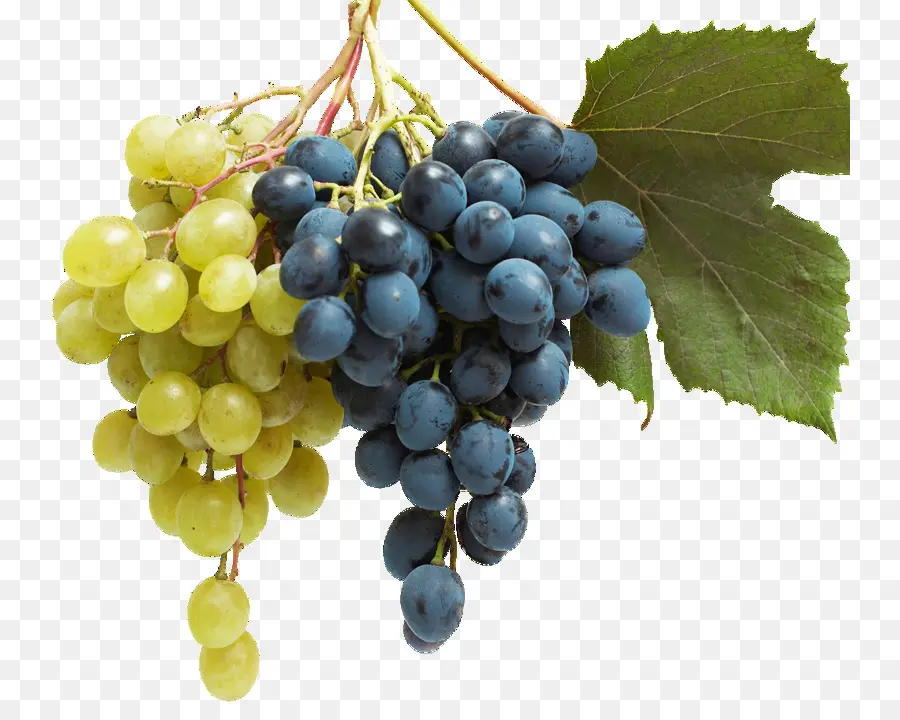 Uvas Pretas，Videira PNG