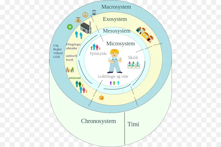 Teoria Dos Sistemas Ecológicos，Microssistema PNG