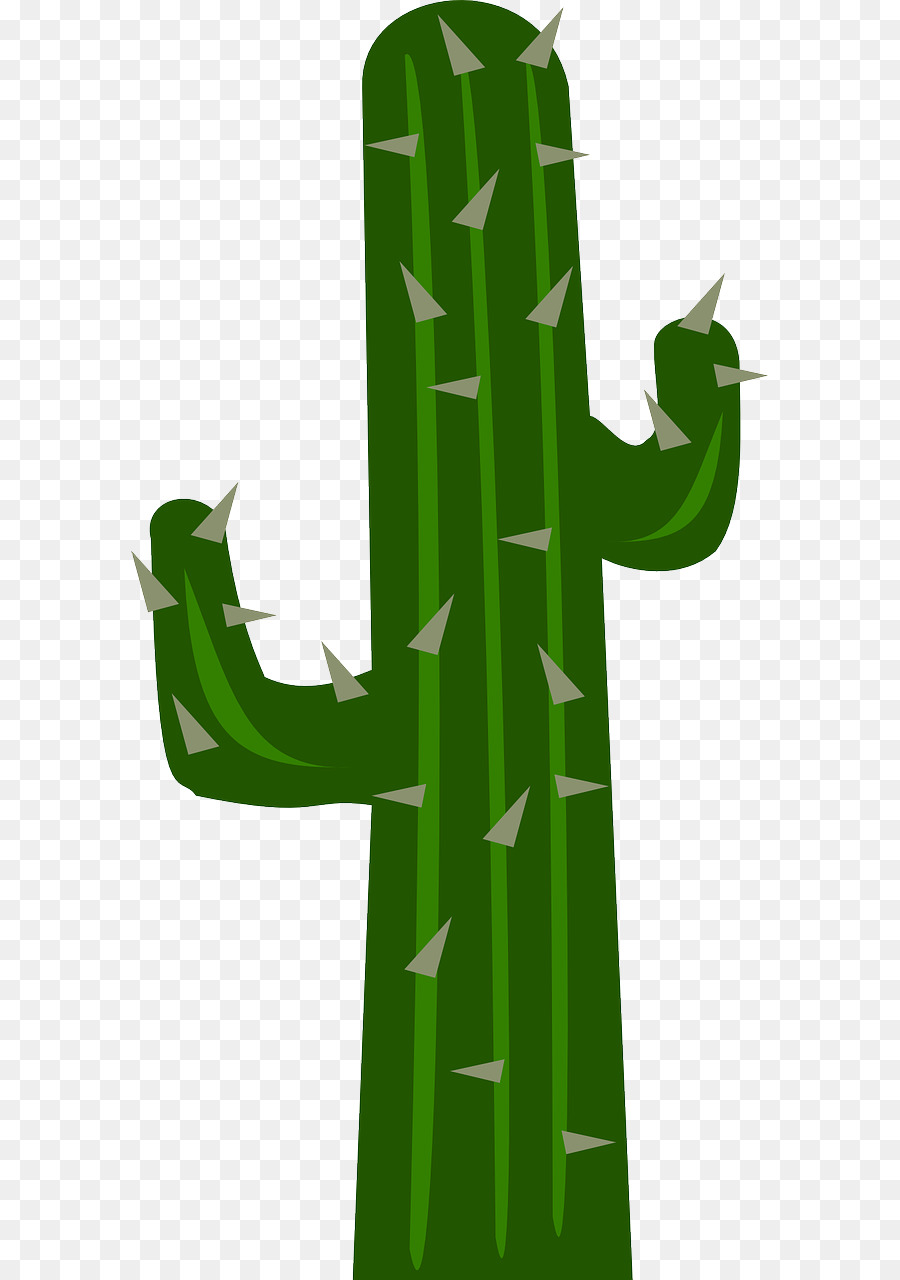 Cactus. Кактус. PNG. em 2023  Arte com cactos, Cactos desenho, Ilustrações