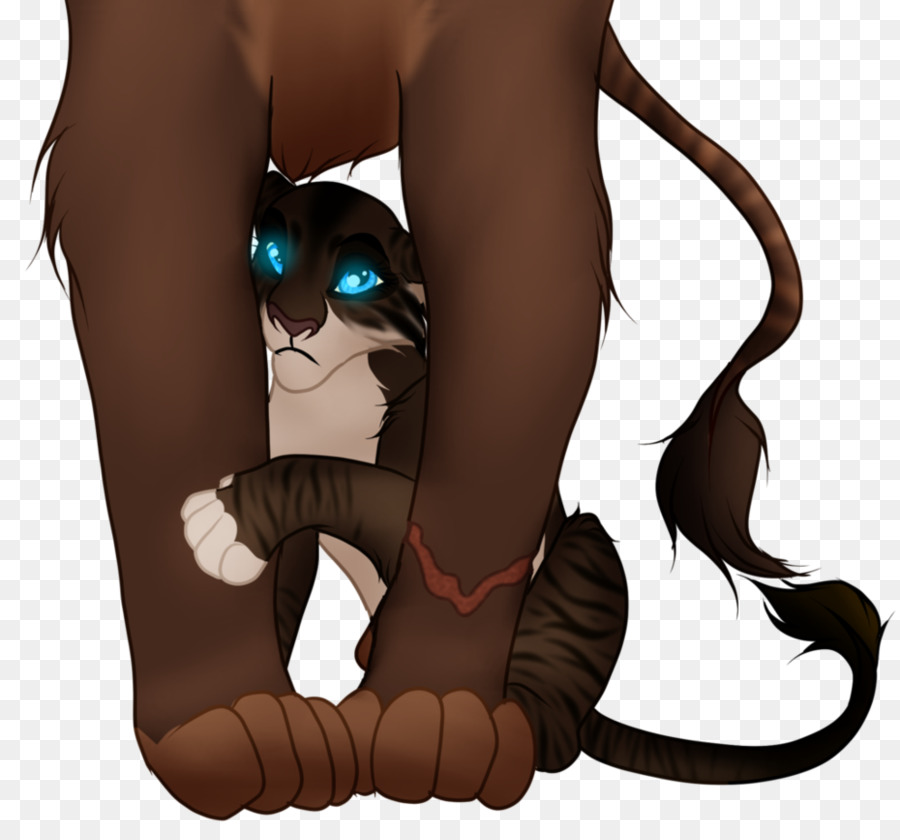 Gato，Cavalo PNG