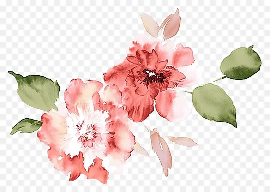 Aquarela Flores，Pintura Em Aquarela PNG