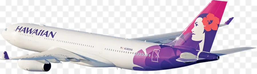 Avião，Voo PNG