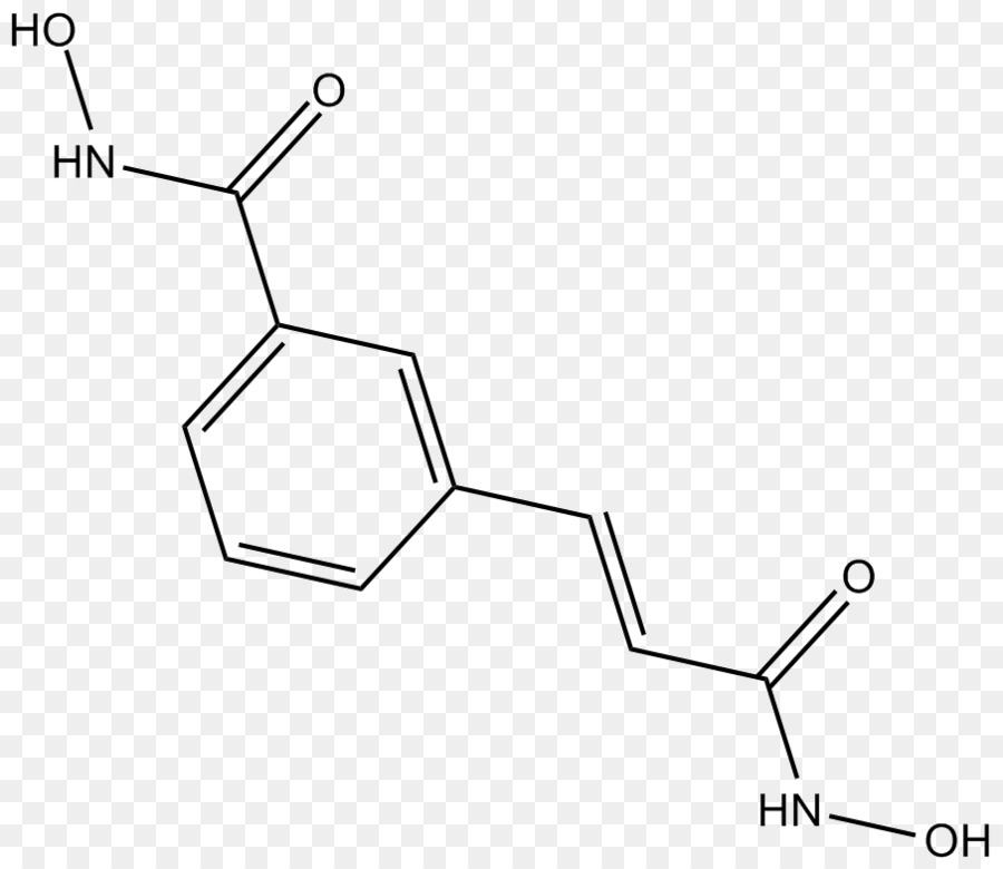 Da Histona Deacetilase，Histona PNG