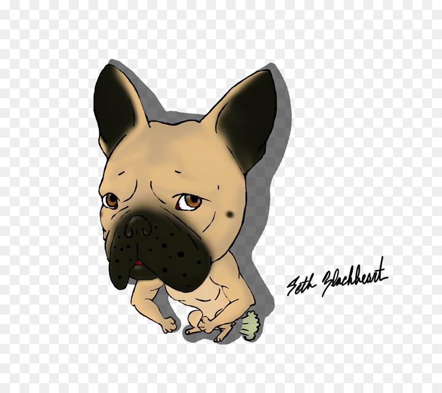 Bulldog Francês，Boston Terrier PNG