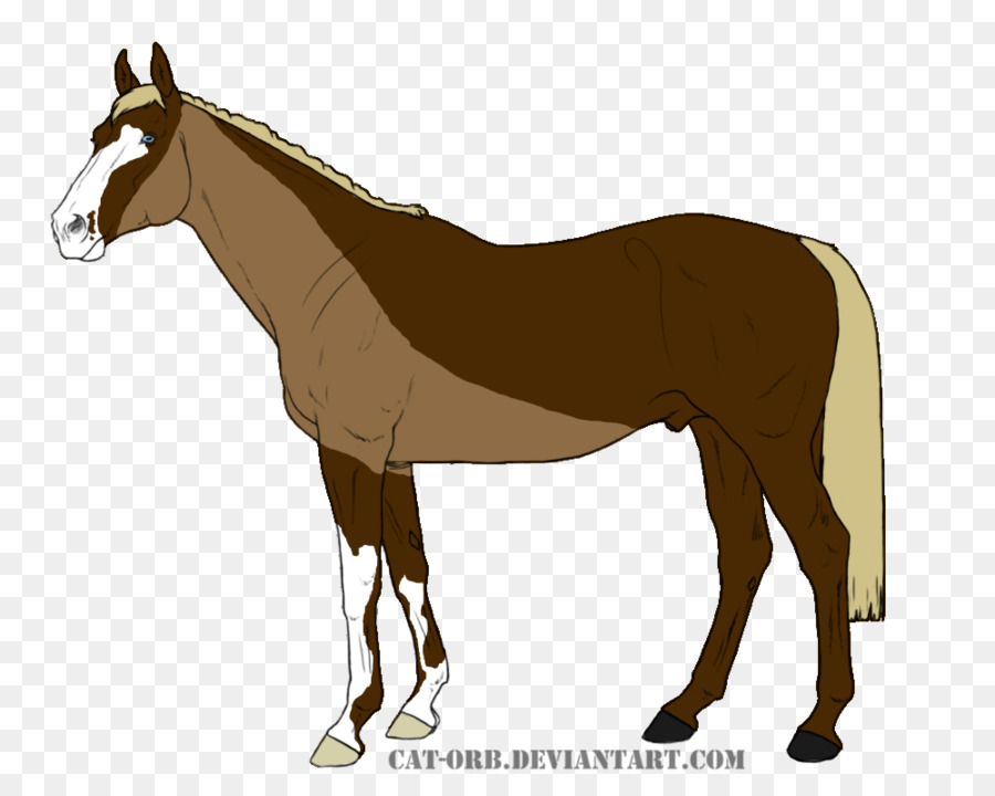 Mula，Cavalo PNG