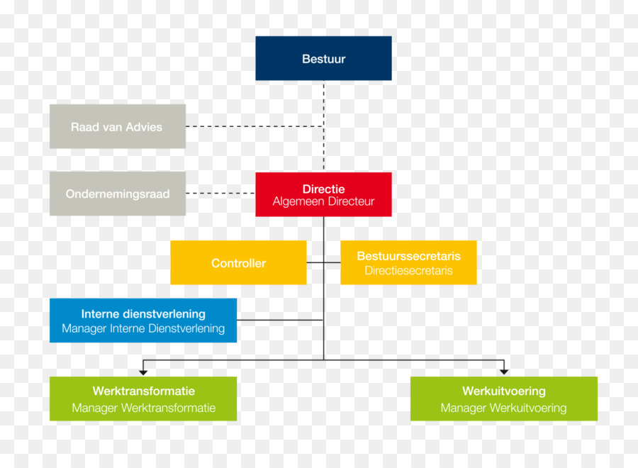 Gráfico Organizacional，Organização PNG