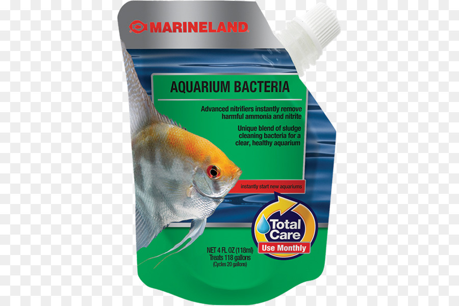 Marineland，Aquário PNG