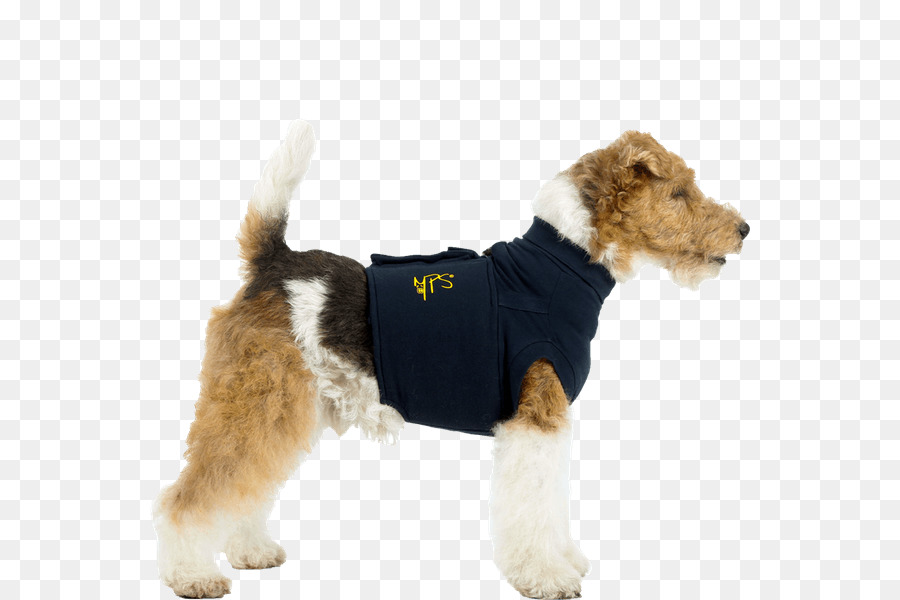 Fio De Cabelo Fox Terrier，Tshirt PNG