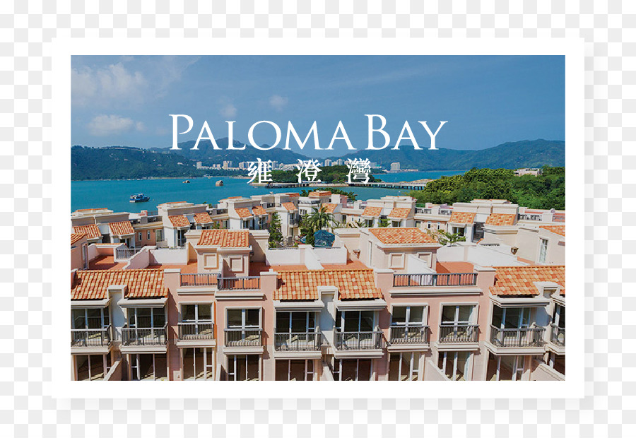 Baía Do Pelicano Paloma Bay，海岸 海岸 Costa Paloma Enseada PNG