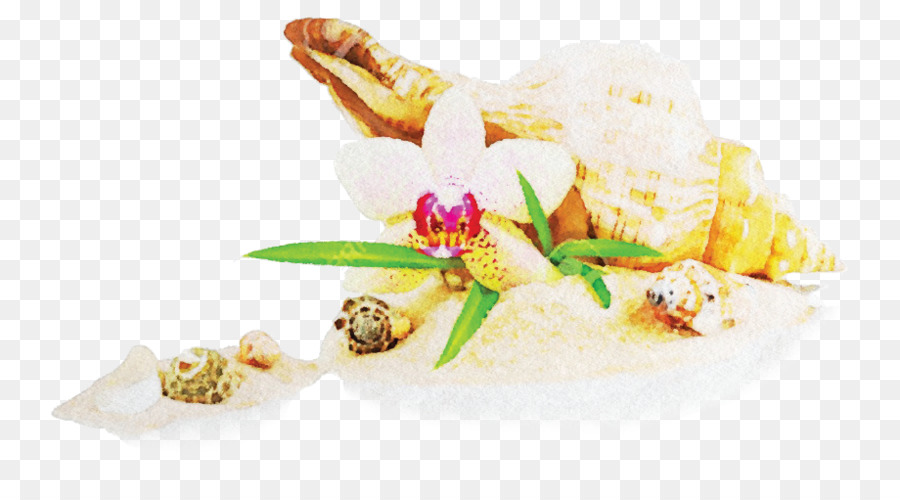 Orquídea Bambu，Seashell PNG