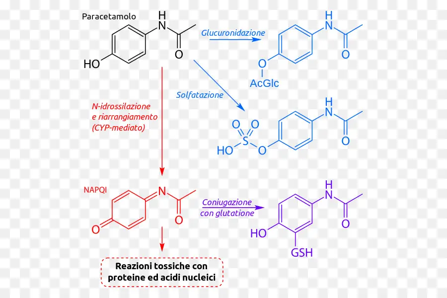 Reação Química，Molécula PNG