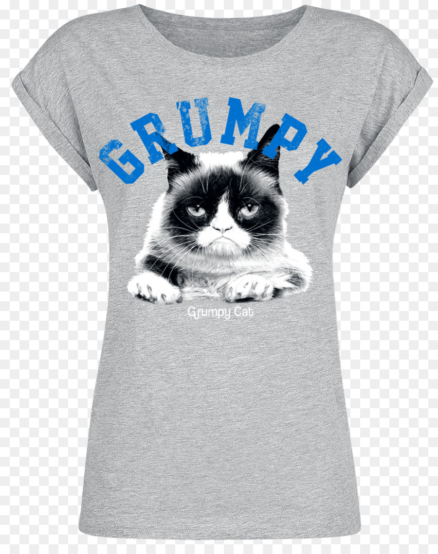 Tshirt，Gato PNG