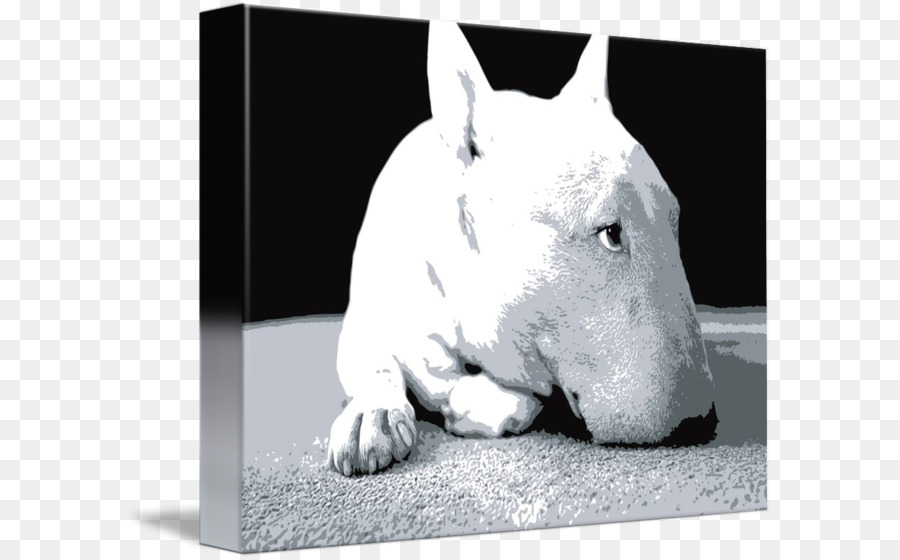 Bull Terrier，Miniatura Do Bull Terrier PNG